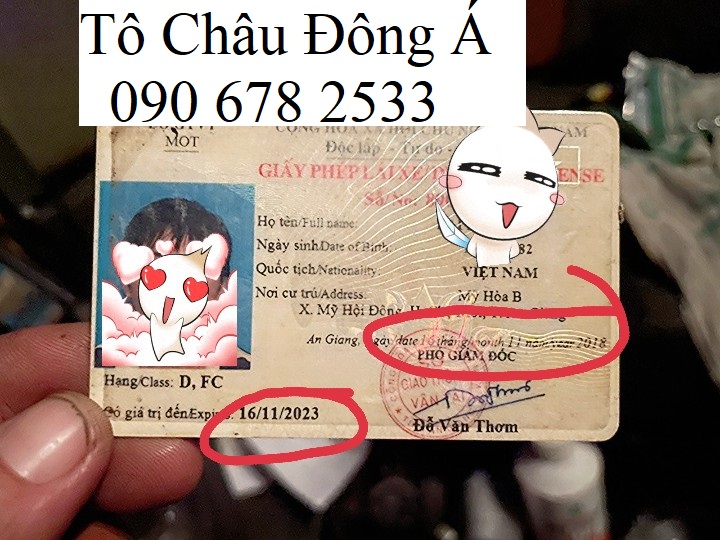Dịch vụ gia hạn bằng lái xe ô tô tại Thanh Hóa